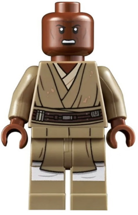 Harry Potter minifigure