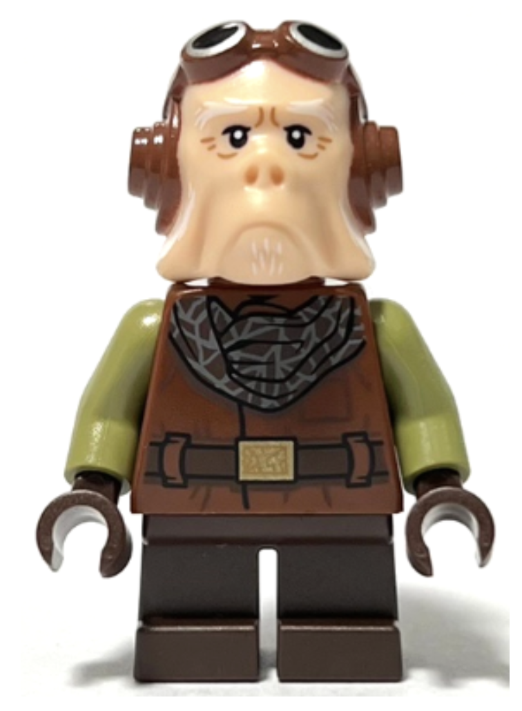 Ninjago minifigure
